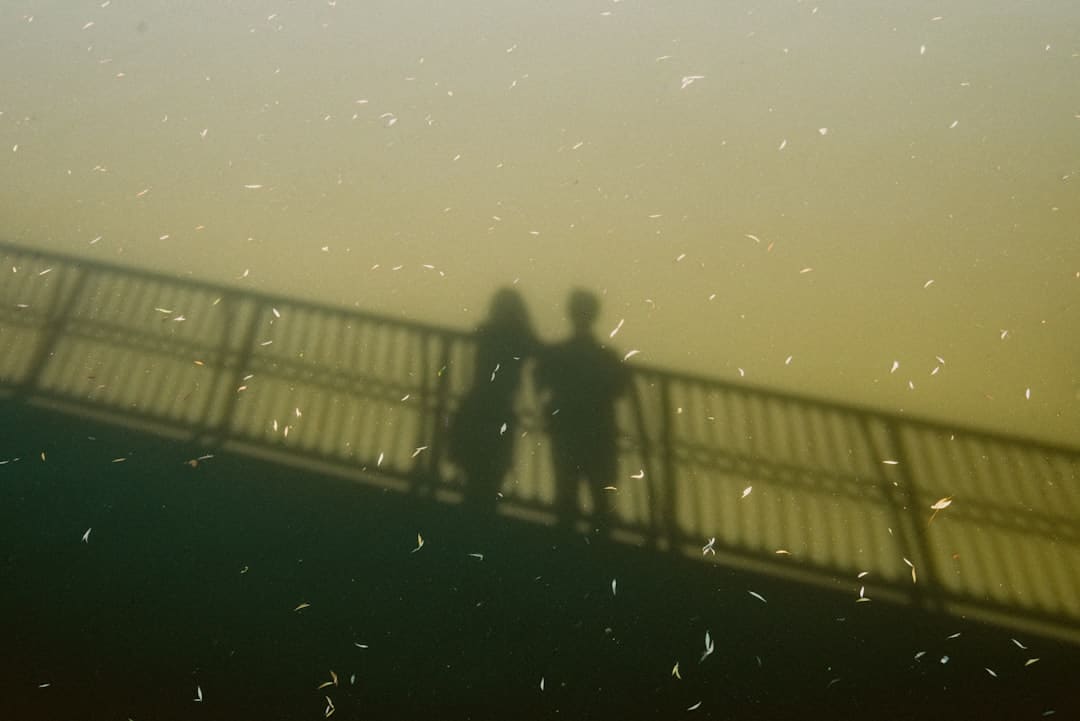 莲藕七孔和九孔的区别